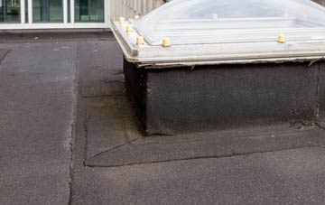 disadvantages of Pathfinder Village flat roofs