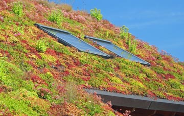Pathfinder Village living roof systems